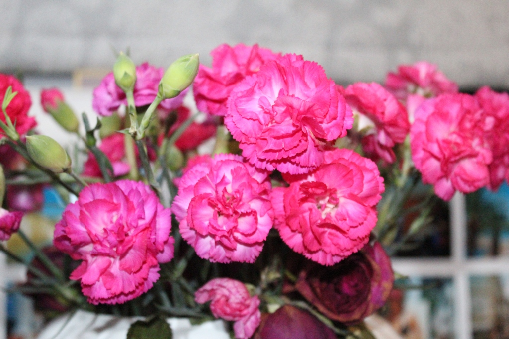 Photograph of pink flowers 